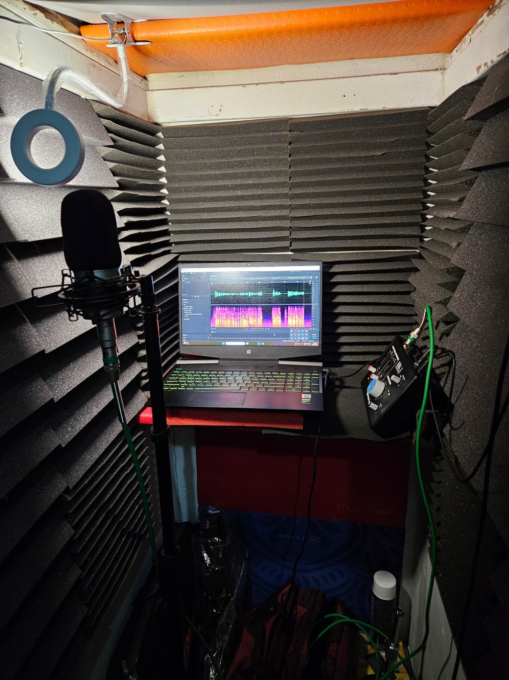 What’s up, MamaCat?